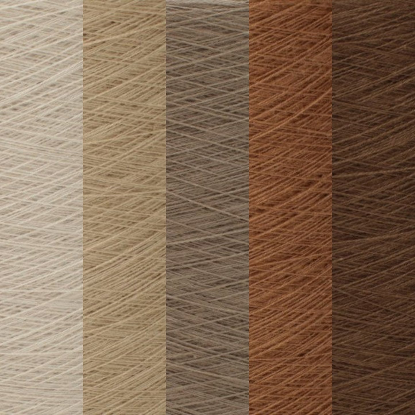 Gradient ombre yarn cake, colour combination C304