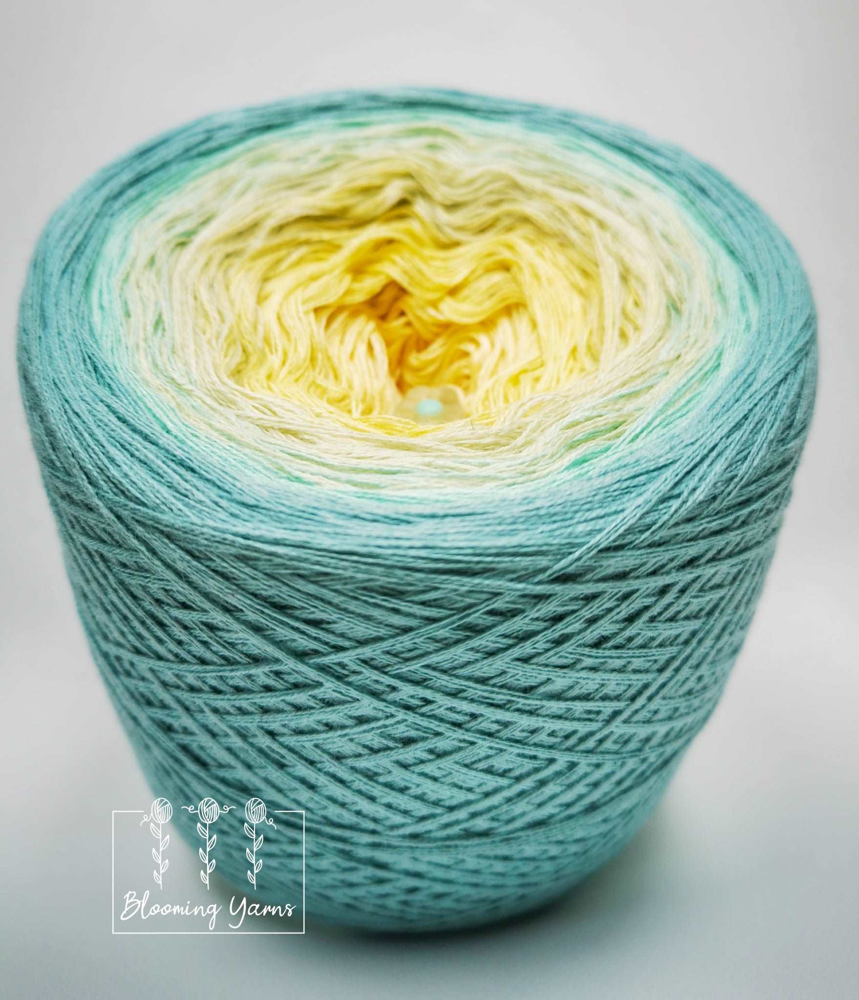 Gradient ombre yarn cake, colour combination C059