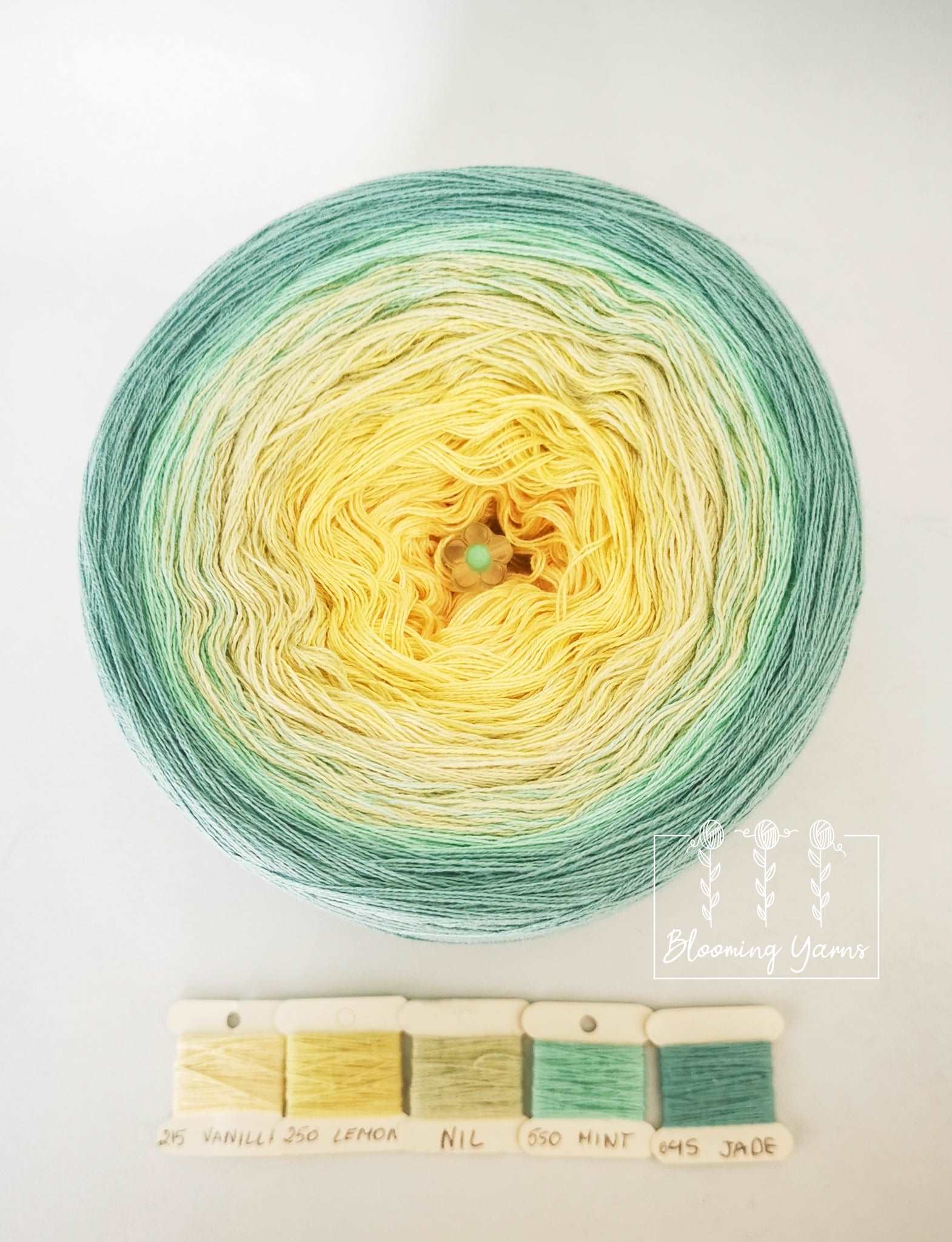 Gradient ombre yarn cake, colour combination C059