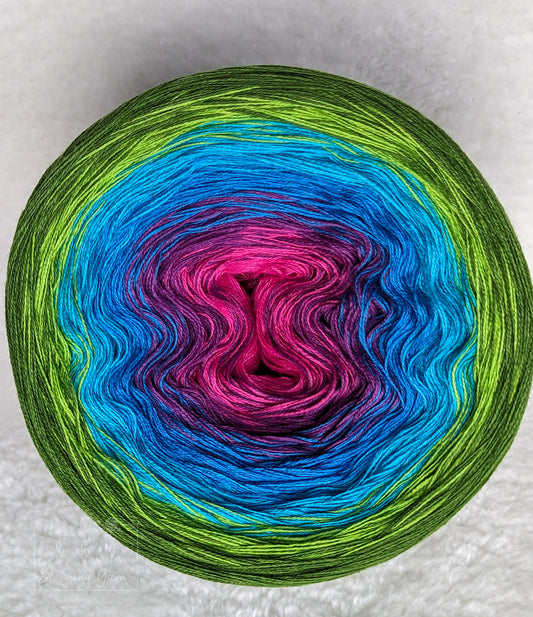 Gradient ombre yarn cake, colour combination C289