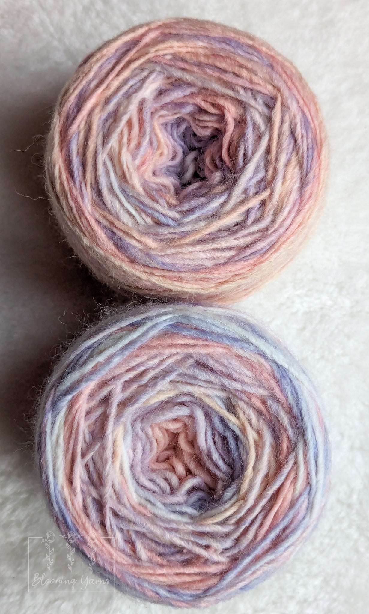 Pagliaccio yarn #65528