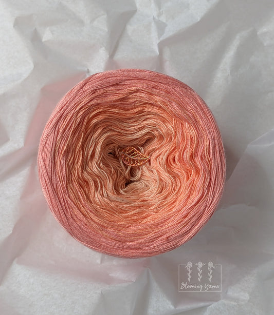 Gradient ombre yarn cake colour combination C333