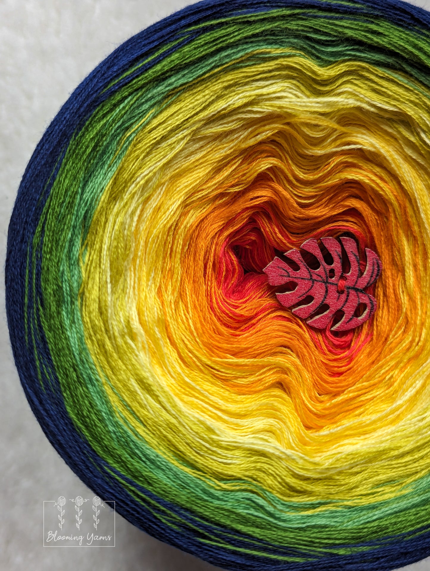 "Aratinga" gradient ombre yarn cake