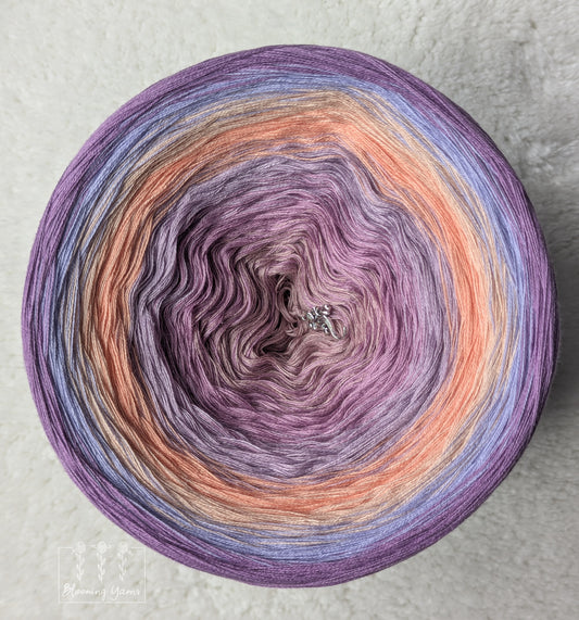 Gradient ombre yarn cake colour combination C344