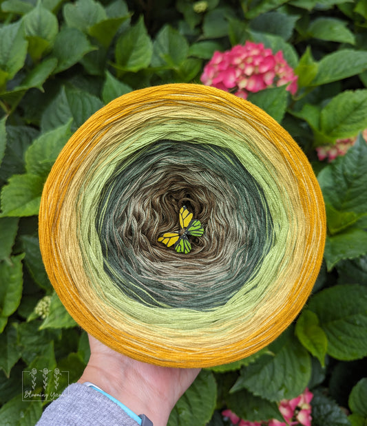 Gradient ombre yarn cake, colour combination C254
