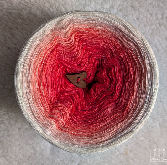 Gradient ombre yarn cake colour combination C408