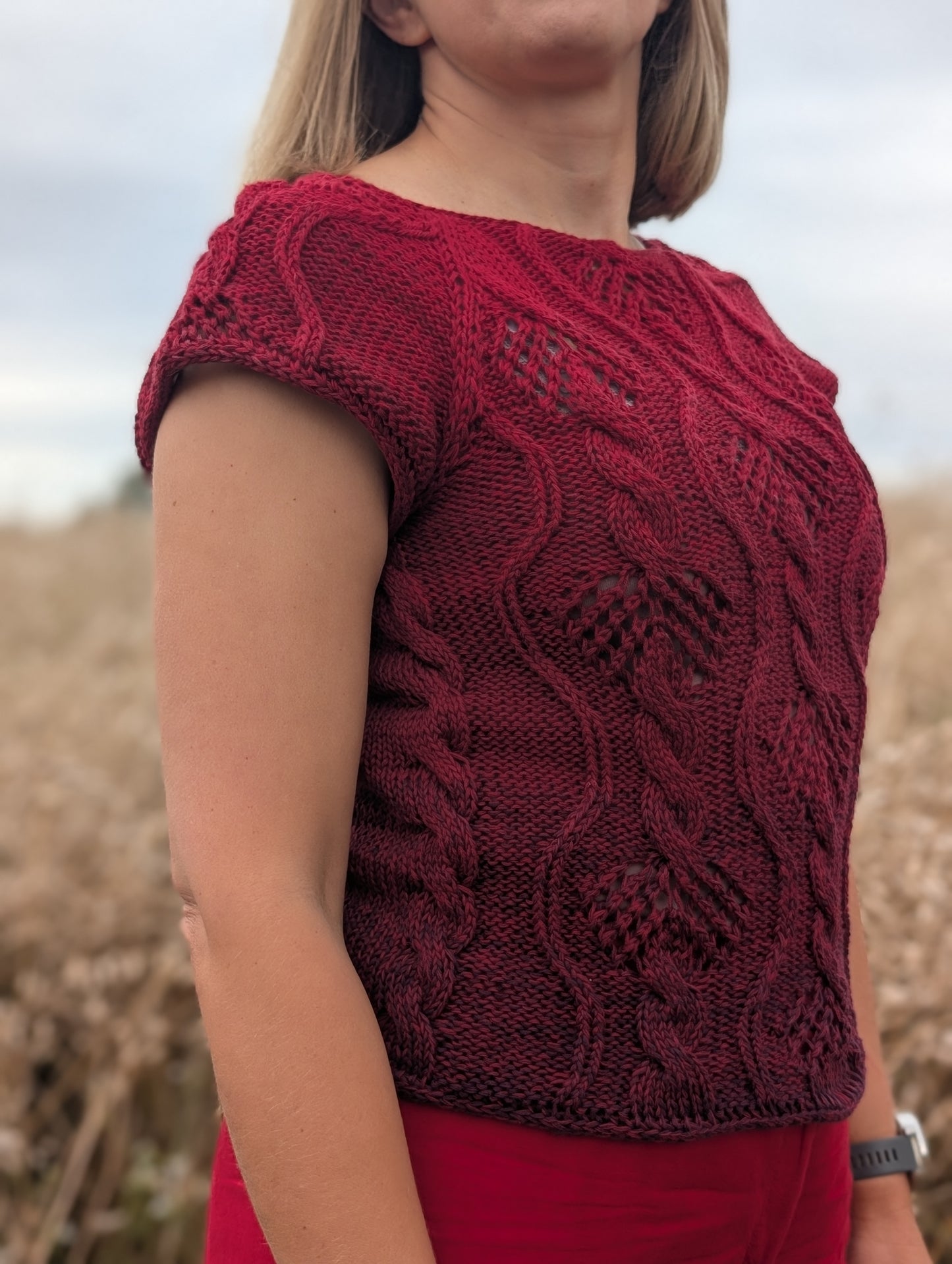 Gradient ombre yarn cake colour combination C323