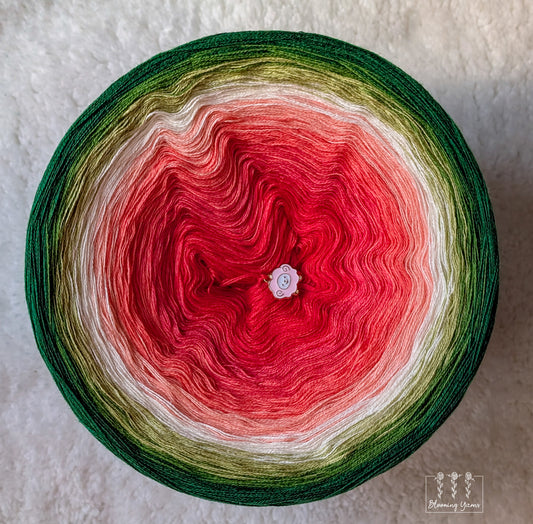 Gradient ombre yarn cake colour combination C409