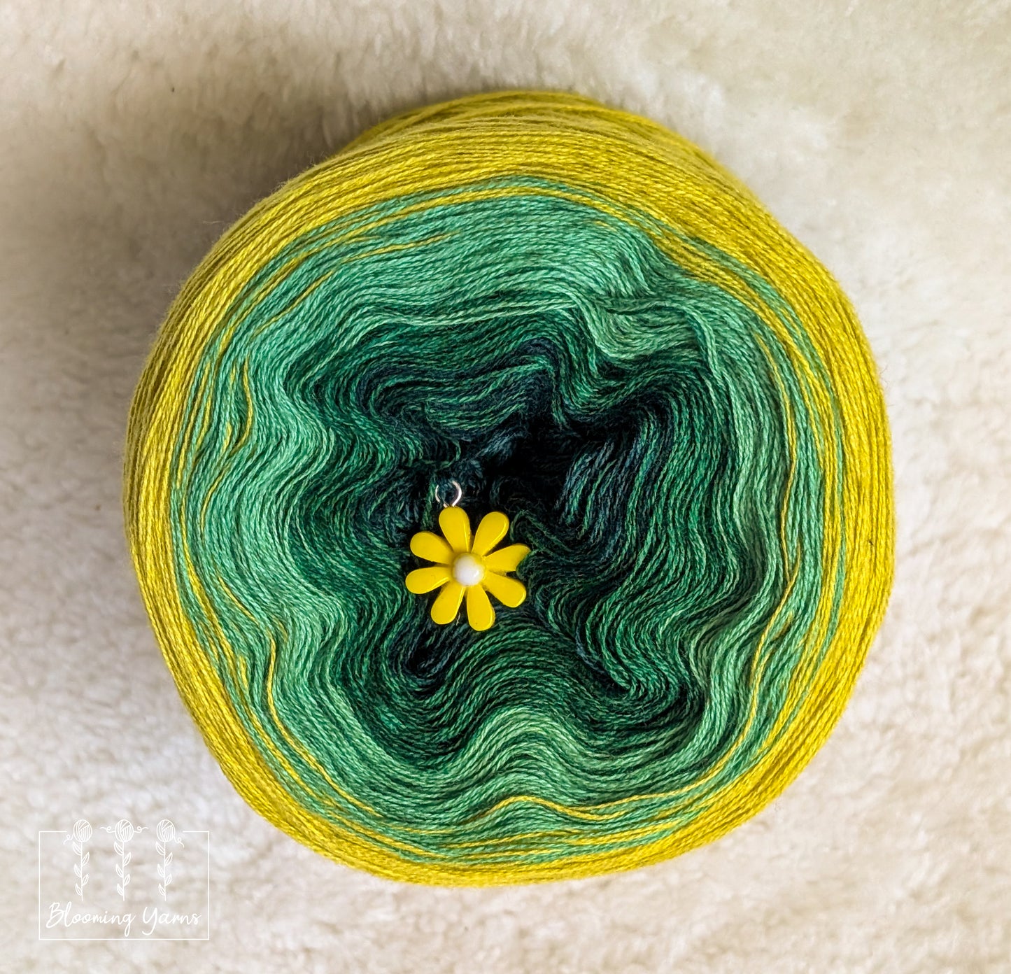 Gradient ombre yarn cake colour combination "Hollie"