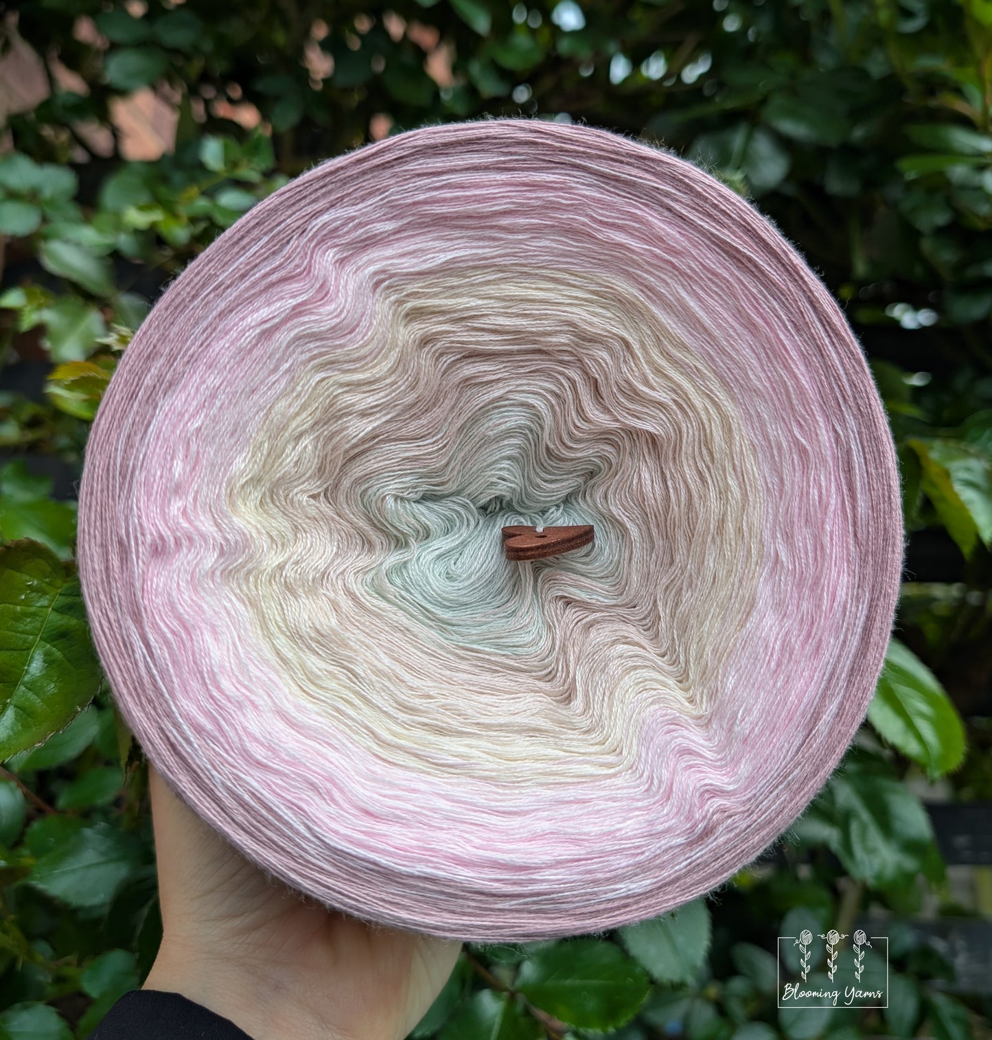 Gradient ombre yarn cake colour combination C423