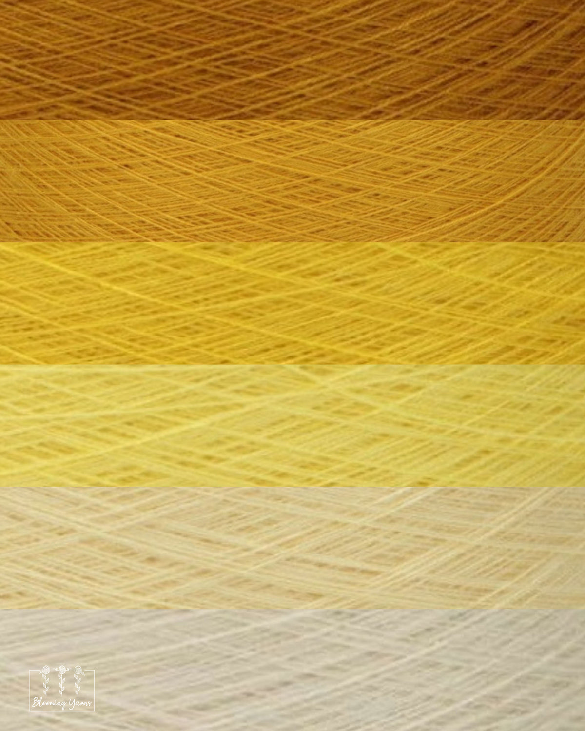 Gradient ombre yarn cake colour combination C434 "Liquid Gold"