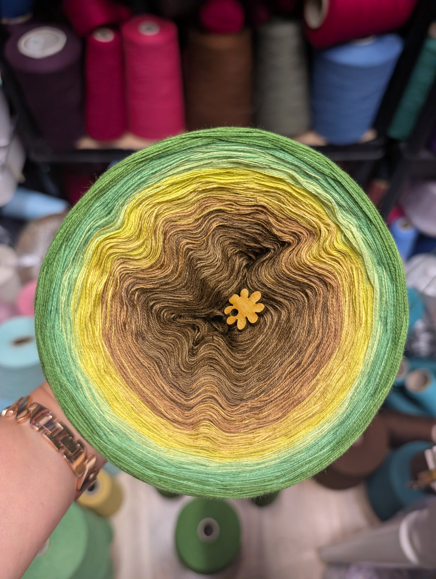 Gradient ombre yarn cake colour combination C429