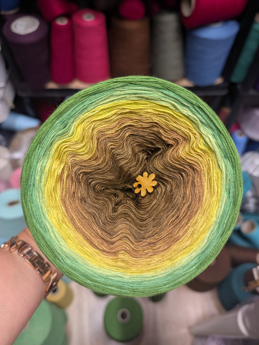 Gradient ombre yarn cake colour combination C429