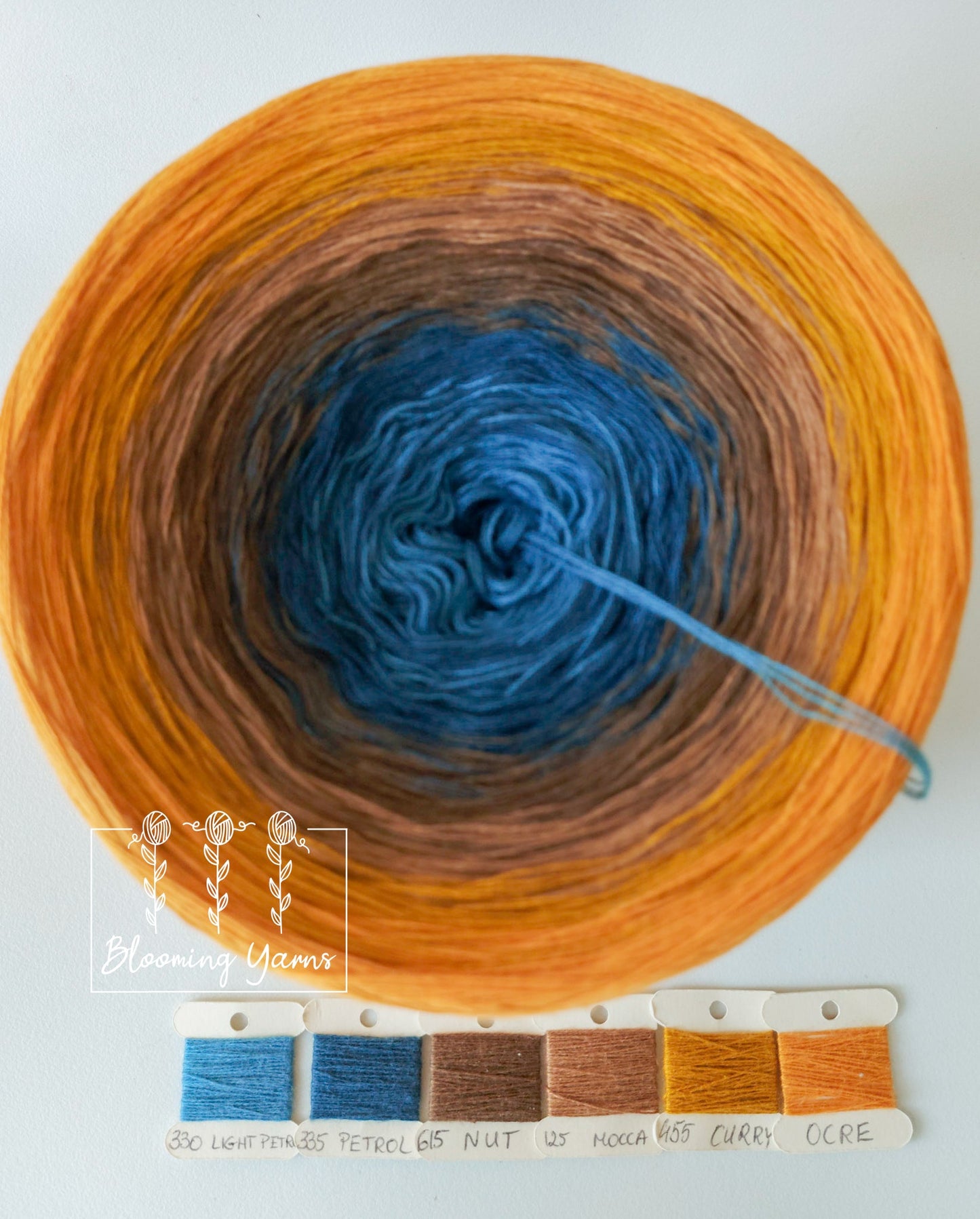 Gradient ombre yarn cake, colour combination C090