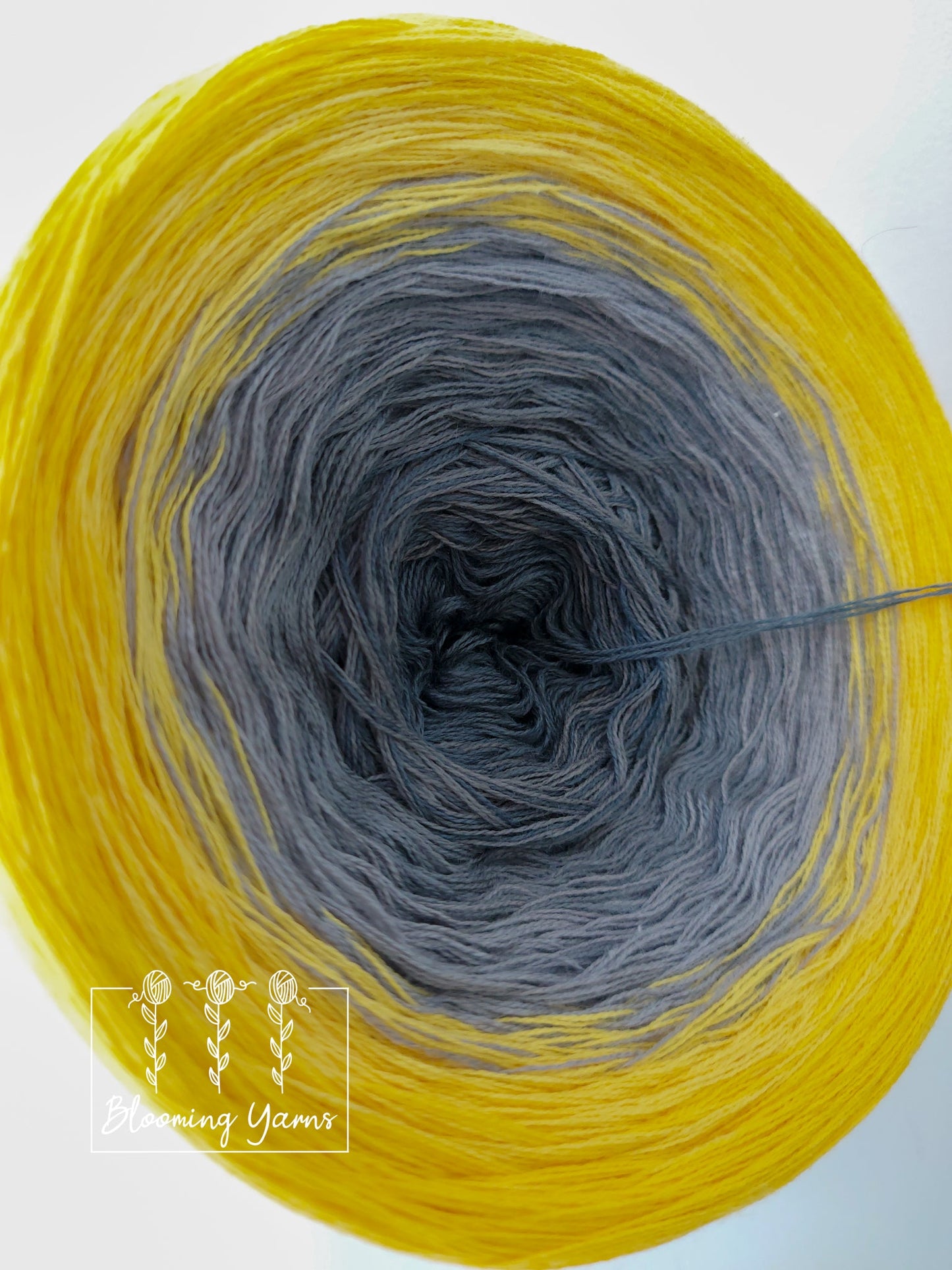 Gradient ombre yarn cake, colour combination C091