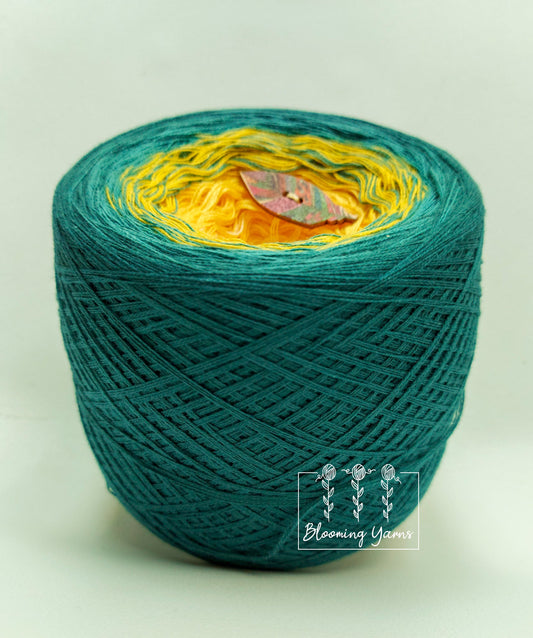 Gradient ombre yarn cake, colour combination C126