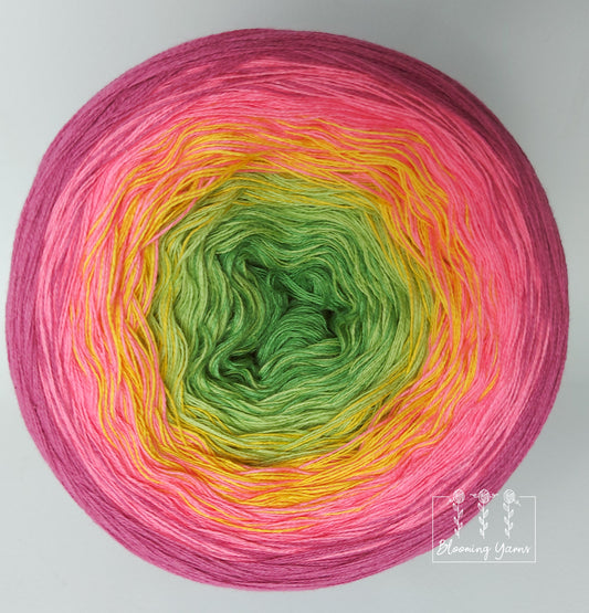 Gradient ombre yarn cake, colour combination C132