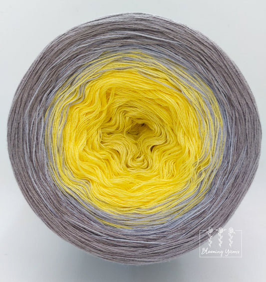 Gradient ombre yarn cake, colour combination C142