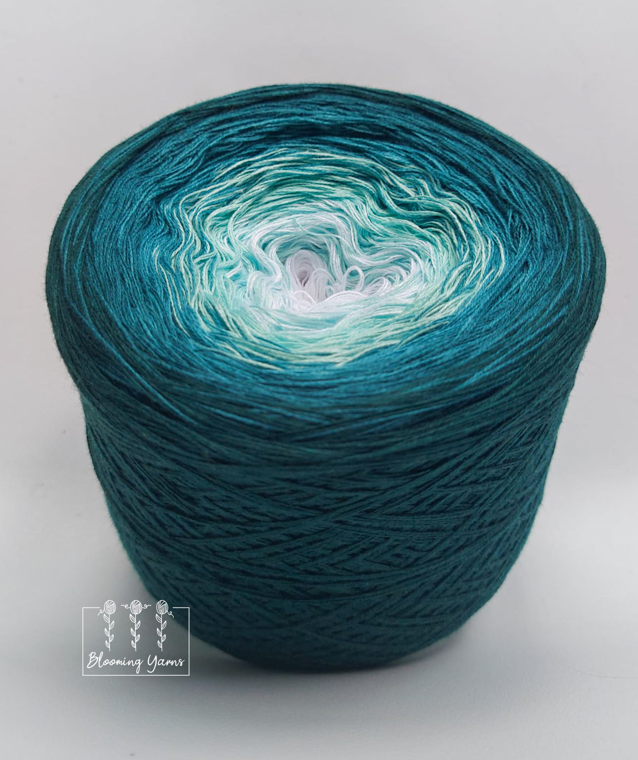 Gradient ombre yarn cake, colour combination C155 by Klaudia Kamienior –  Blooming Yarns by KW