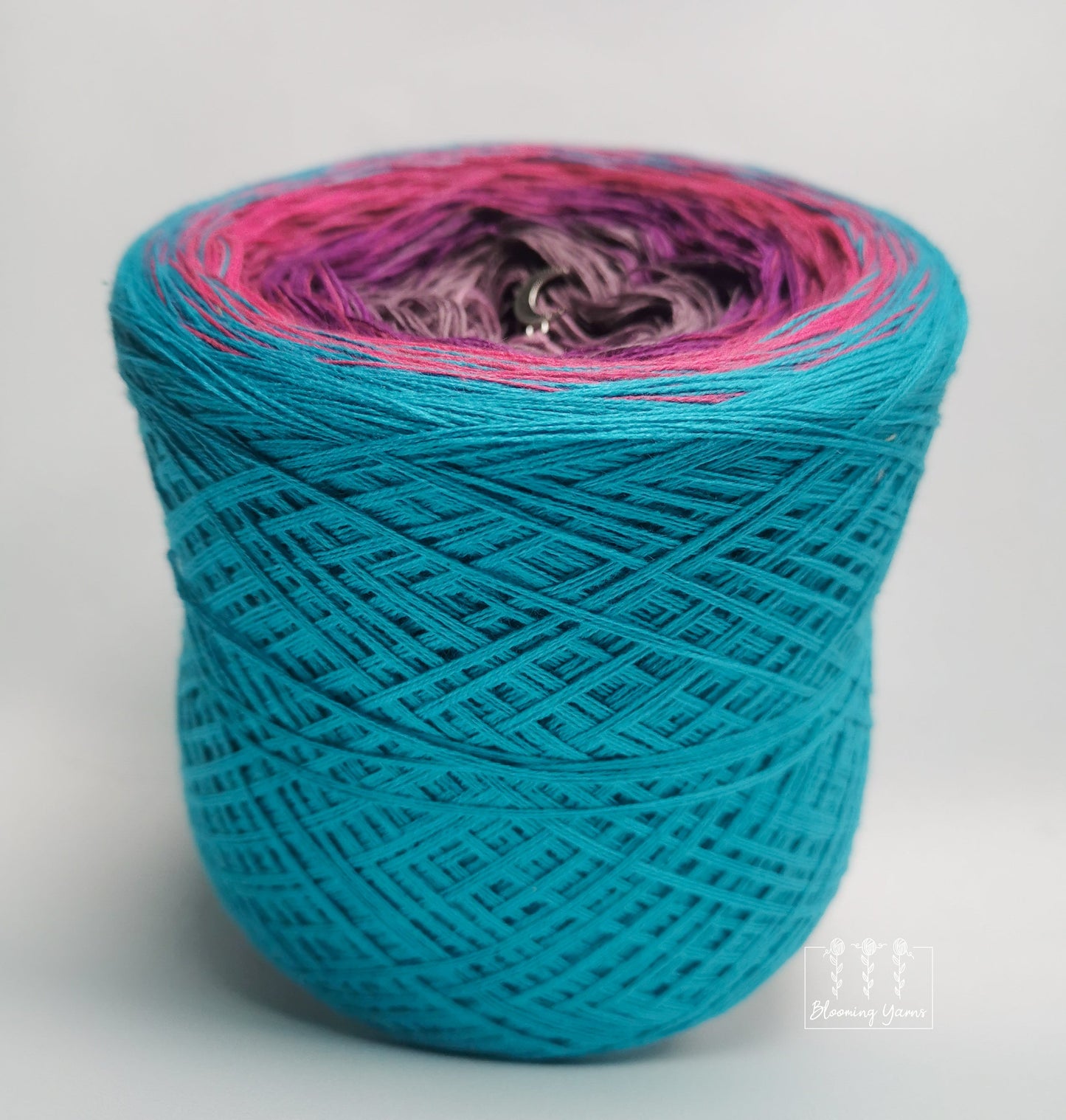 Gradient ombre yarn cake, colour combination C169