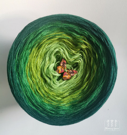 Gradient ombre yarn cake, colour combination C173