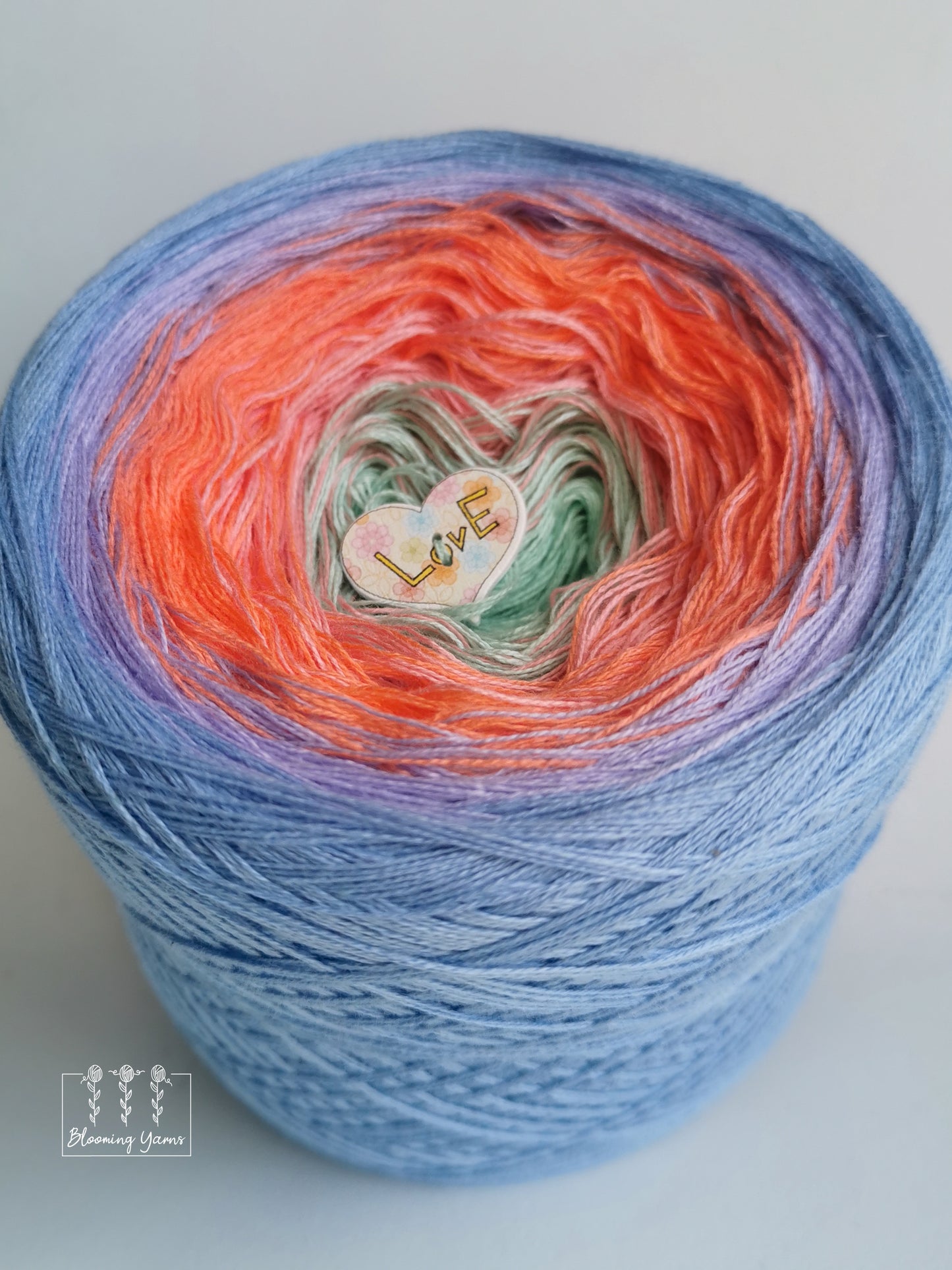 Gradient ombre yarn cake, spring colour combination C206 by Debbie