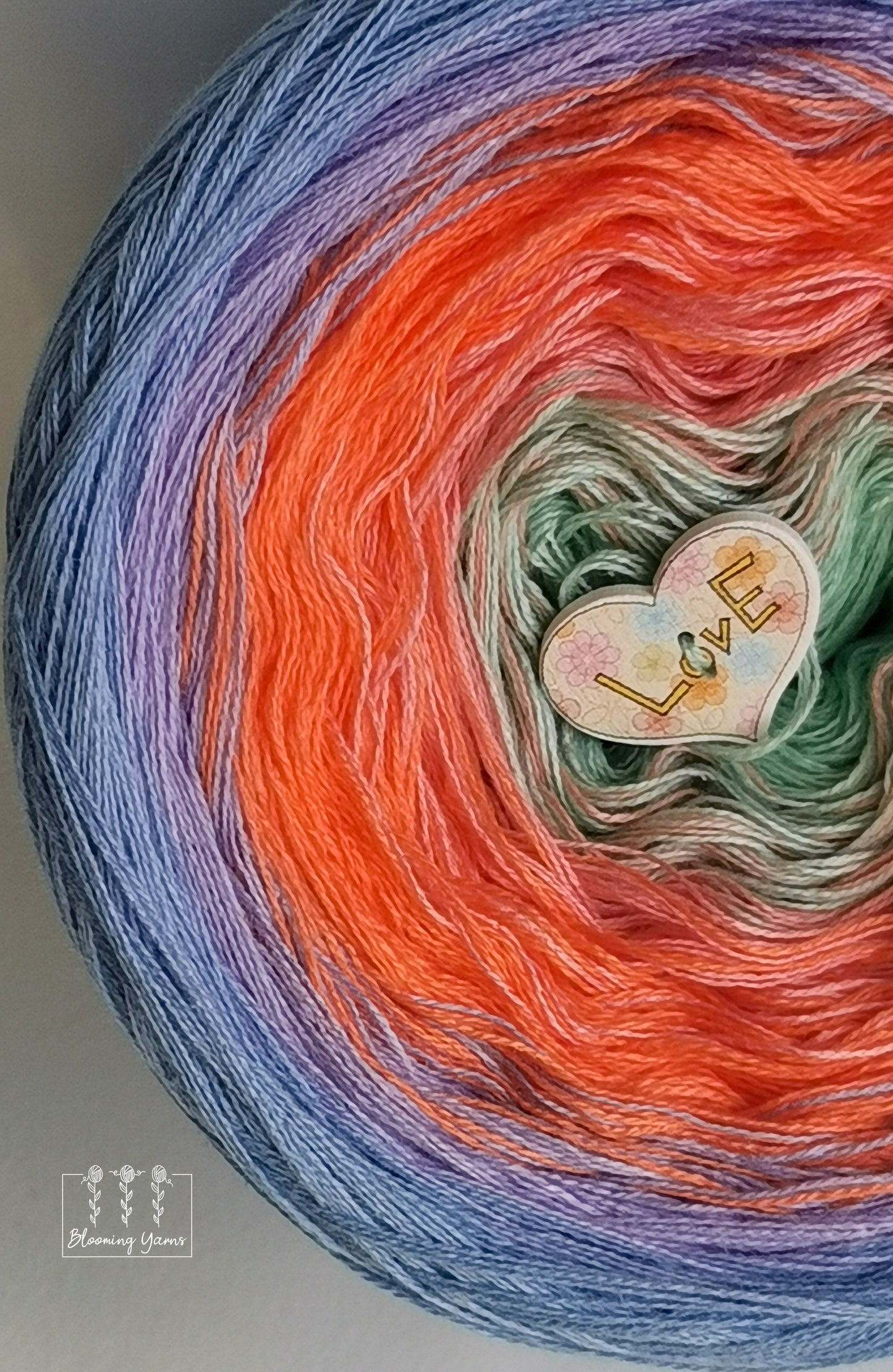 Gradient ombre yarn cake, spring colour combination C206 by Debbie