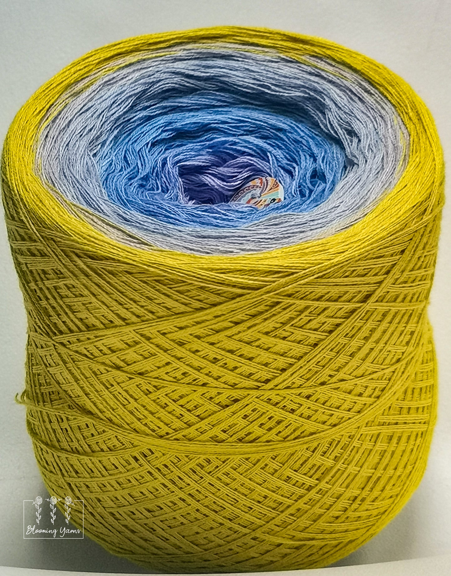 Gradient ombre yarn cake, spring colour combination C209 by Maggie